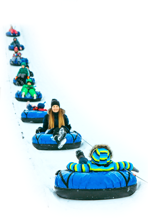 Descente de luge